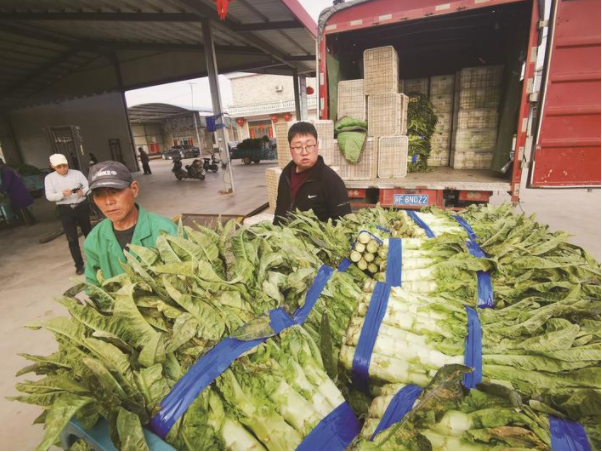 海安光明村40個家門口蔬菜市場銷售超億元——小喇叭唱響共富曲